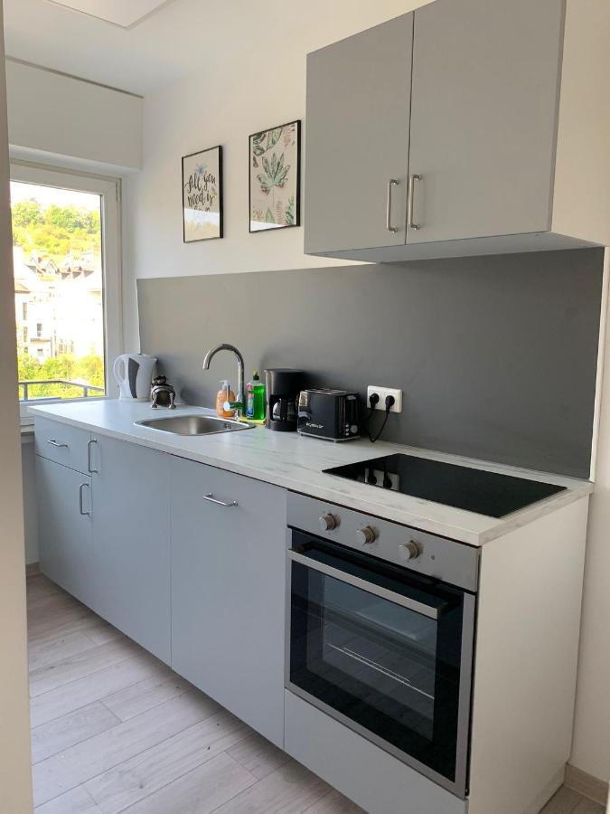 The Hiker City Apartment Кобленц Экстерьер фото